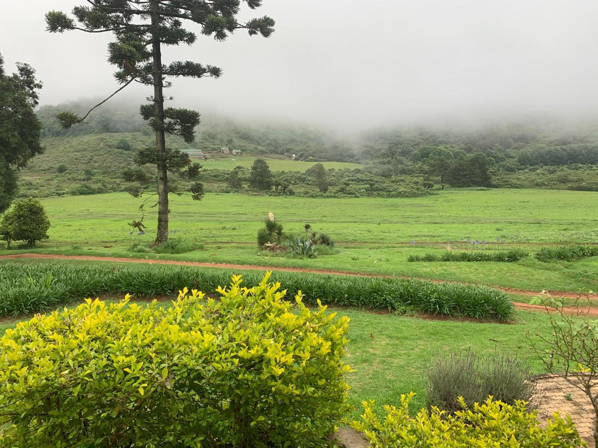 Rondebossie Farm Retreat Apartment Magoebaskloof Exterior photo